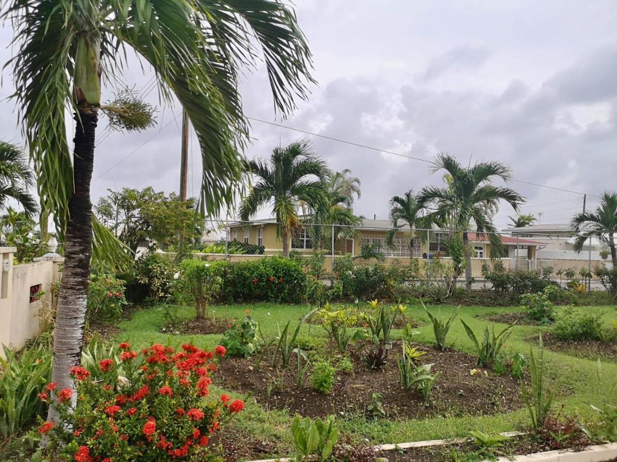 Ventnor House Apartments Bridgetown Eksteriør bilde